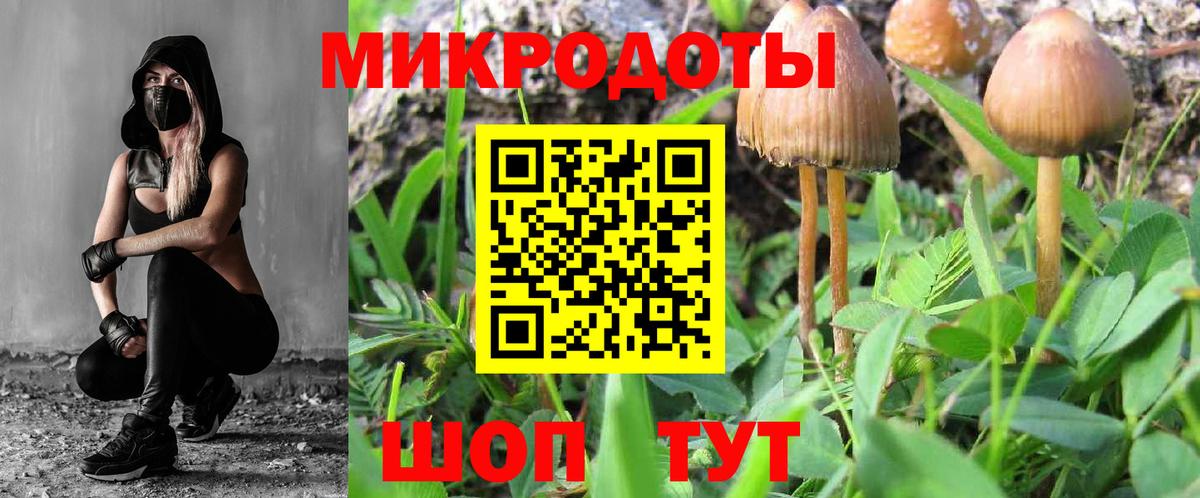 где найти наркотики  Вход с VPN  Владимир  Псилоцибиновые грибы MAGIC MUSHROOMS 